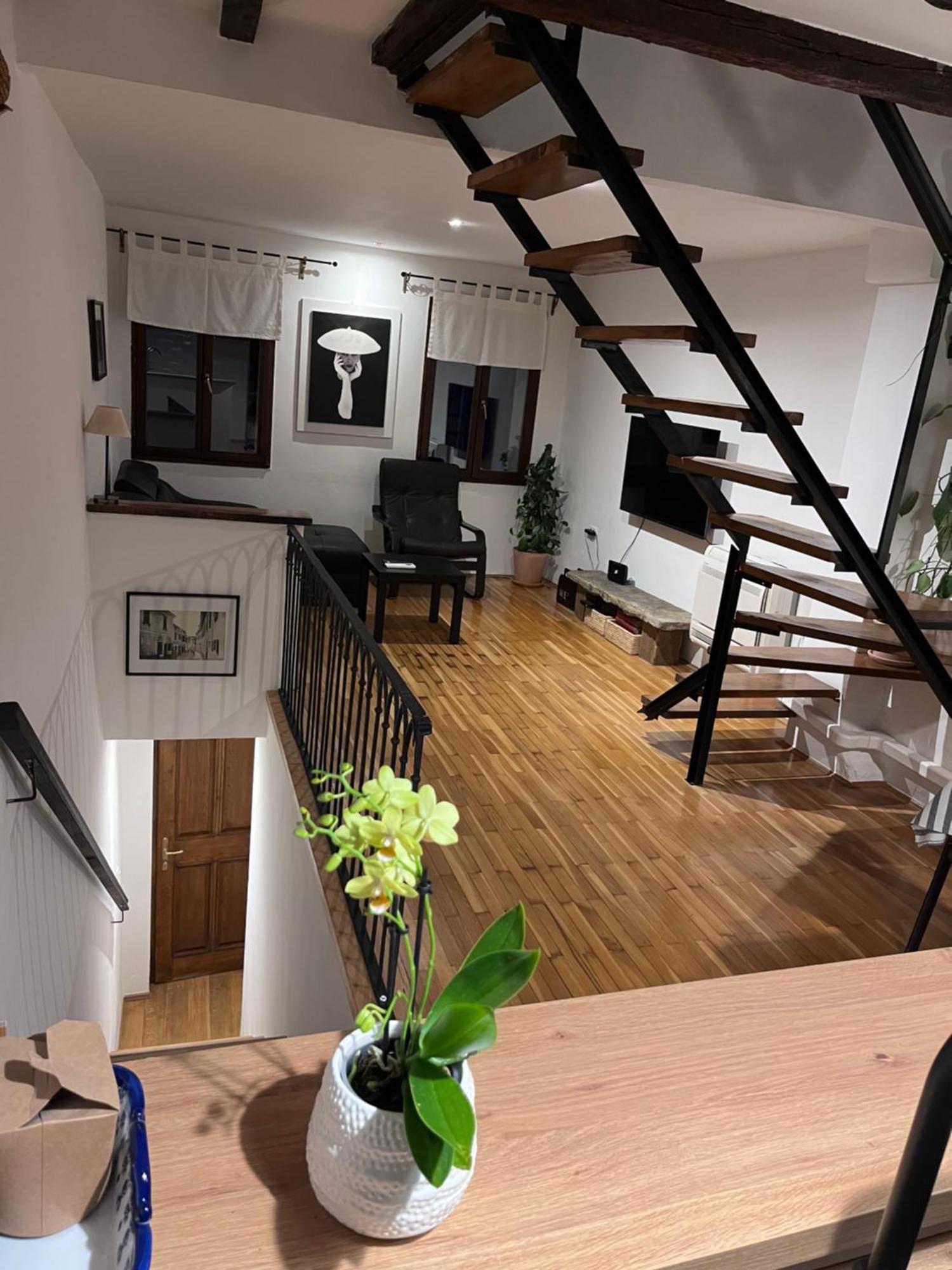 Apartment Capo D'Istria Capodistria Esterno foto